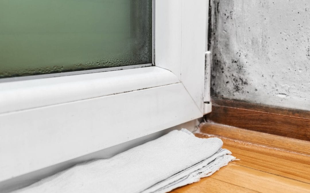 too much moisture can lead to mold in the home