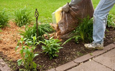 6 Tips for Creating a Garden in a Small Space