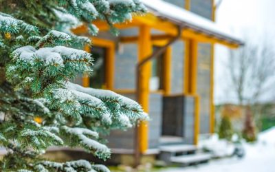 8 Tips for Winter Lawn Maintenance
